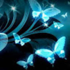 Meet your Posher, Bridget